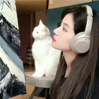 女力拳开
